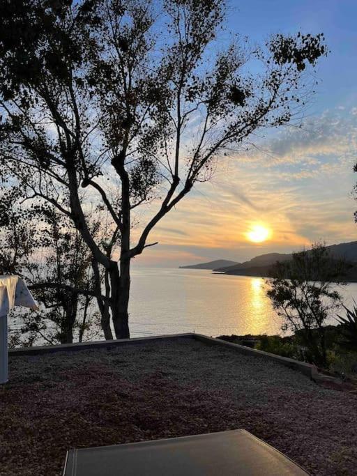 Appartement 2 Personnes Bord De Mer 萨戈内 外观 照片